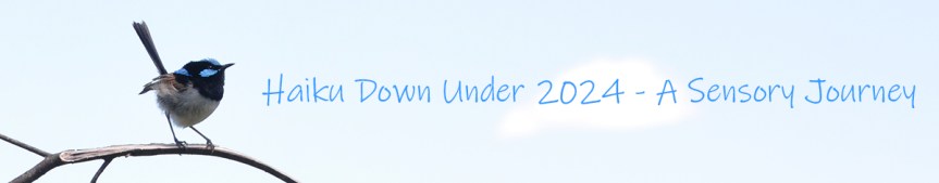 Haiku Down Under&nbsp;2024